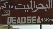 Exclusive Dead Sea Private & Premium Tour from Amman or Airport