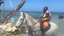 Private Dunns River Falls and Horse Back Riding 