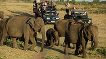 Day Excursions to Udawalawe From Bentota
