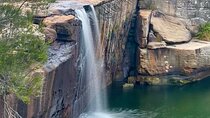 Royal National Park Hike, Swim and Wildlife Tour