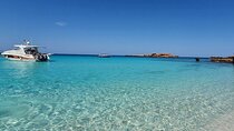 Full Day Dimaniyat Island Excursion