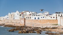 Private day trip to Essaouira Mogador from Marrakech 