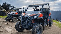 Premium Buggy Experience in Ponte de Lima
