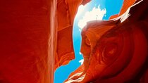 5 Day Tour L. Angeles Las Vegas Yellowstone & Grand Teton from LA