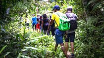 4-Hours Bike, Hike & Waterfall Tour in Blue Mountain with Lunch and Pick Up