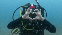 Scuba Diving try dive in Fuerteventura