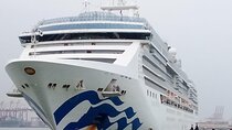 Ceylon Tea Experience Start from Colombo Port Passenger Terminal 
