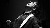Flamenco Live Show and Dinner in Mexico City