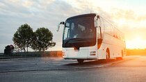 Naples Airport: 1-Way Shuttle to Sorrento 