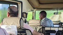5 Days and 4 Nights Tanzania Big Five Safaris Private Tour