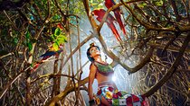 Xcaret Park Plus Access with Transportation and Night Show