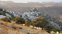 Private 2-Day Tour in Kea Island and Meet the Lion