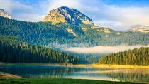 Full-Day Queen of the North Tour with Licensed Guide
