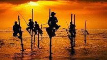 12 Days All-Inclusive Classic Tour in Sri Lanka