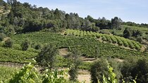 Apple Hill Wine Tasting Tours And Placerville wine tasting tours