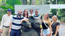 Lone Pine, Brisbane Highlights and Lunch!