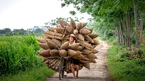 Full Day Guided Tour of Mekong Delta