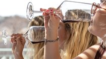 Wine tasting in Rhodes, inside the vineyards with the Producer