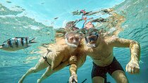Private Guided Giftun Islands Boat Tour with Lunch From Hurghada