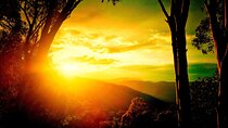 Blue Mountains Day, Sunset Tour & Glow Worms Night Adventure 