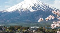 Private Mt. Fuji Custom Tour from Tokyo