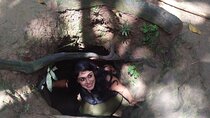 Combine Cu Chi Tunnels & City Tour by DGT