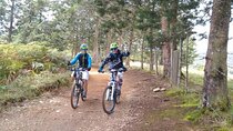 Private Medellin Mountain Bike Coffee Tour & Spa
