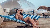 Discover Jordan’s Horizons – Premium 6-Day Exploration Journey