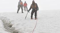 Gorilla & Rwenzori Expedition in Uganda - 15 days