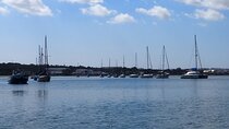 Private Tour 6 hours by Boat on the Tagus