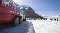 1 Day Columbia Icefield | Ice Explorer | Peyto Lake |From Calgary