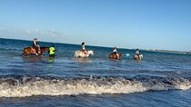 Dunn's River, Horse Back, Blue Hole Secret Falls from Montego Bay
