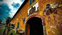 Shore Excursions Colombo Passenger Jetty -Galle & Back Group Tour