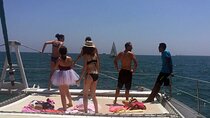 Day Cruise Party with Lunch & Seaside Cocktail in Valencia