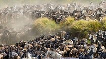 Maasai Mara 3 Day Guided Tour