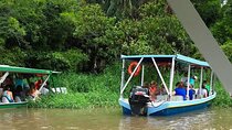 Boat Tour in Palo Verde River | Near Nicoya