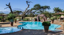 6 Days Masai Mara-Nakuru-Amboseli - Lodge Safari-Private 4X4 JEEP