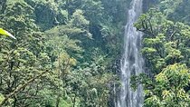 Materuni Waterfalls, Kikuletwa Chemka Hot springs, Coffee tour