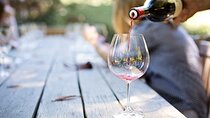  Exclusive Wine Tasting in Valpolicella, Verona