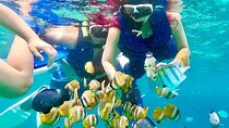 Blue lagoon and tanjung jepun snorkling all inclusive