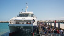 Full-Day Private Robben Island, Penguins & Cape of Good Hope Tour