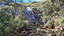 Waterfalls, Wildflowers & Wandoo Hiking Experience