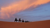 2 days Sahara trip /lux tent 