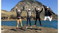  2 Days Jeju Island Private Taxi Tour (East/West of Jeju Island )
