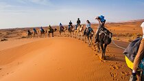 3-day group desert excursion from Marrakech