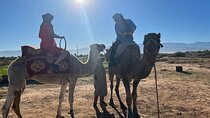 Day Trip to Atlas Mount Imlil Valley Waterfalls Berber Villages