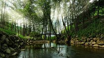 Full Day Sapanca and Masukiye Tour with lunch