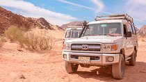 Full-Day Safari with Camel, ATV, Quad and Buggy Tour in Hurghada