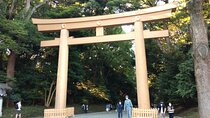 Tokyo Half Day Private Tour / Customization & Hotel Gathering OK!