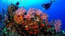 Full Day Scupa Diving And Snorkeling sea trip activity - Hurghada